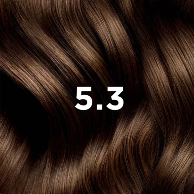 Phyto Coloration Teinte 5.3 Châtain Clair Doré 50ml + 50ml + 12ml 2 Phyto Coloration Teinte 5.3 Châtain Clair Doré 50ml + 50ml + 12ml – Image 2