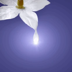 Melvita Nectar Sublime Crème Velours Suprême Cosmebio Pot, 50ml 5 Melvita Nectar Sublime Crème Velours Suprême Cosmebio Pot, 50ml -Para Magasin nectar sublime creme velours supreme cosmebio pot 50ml 2