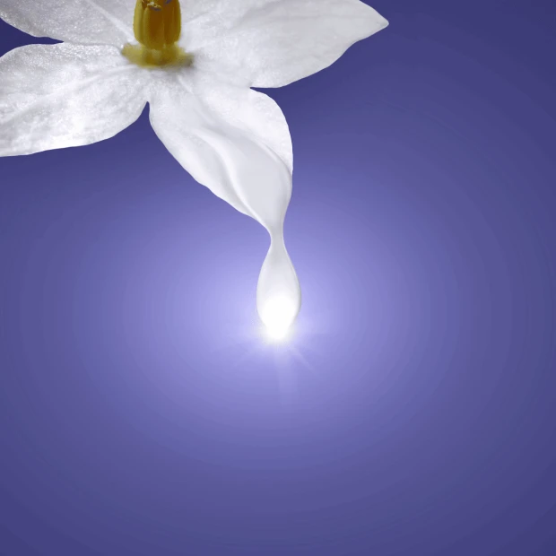 Melvita Nectar Sublime Crème Velours Suprême Cosmebio Pot, 50ml 3 Melvita Nectar Sublime Crème Velours Suprême Cosmebio Pot, 50ml – Image 3