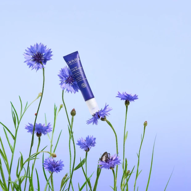 Melvita Roll On Givré Bleuet Contour Des Yeux, 10ml 3 Melvita Roll On Givré Bleuet Contour Des Yeux, 10ml – Image 3