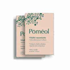 Vital Glow Vitalité Antioxydant Éclat Du Teint, Lot 2X60 Gélules